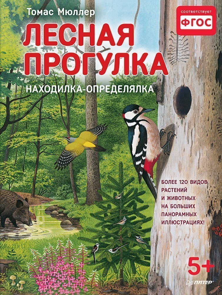 Книга Находилка-определялка с панорамными иллюстрациями Лесная прогулка ИД Питер