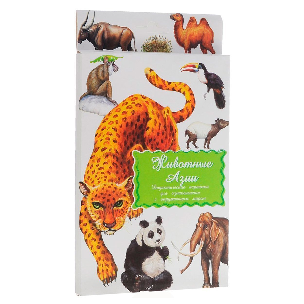 Набор карточек Животные Азии Маленький гений