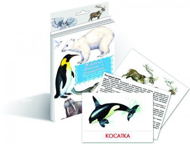 Набор карточек Животные Арктики и Антарктиды Маленький гений