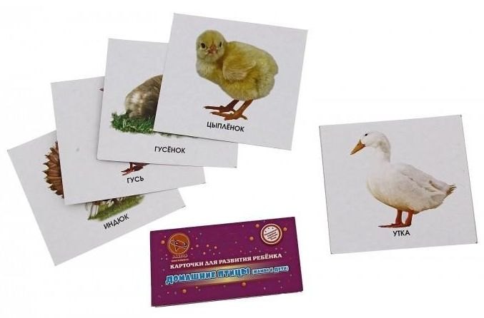 Карточки для развития ребенка Домашние птицы. Мамы и дети Ракета