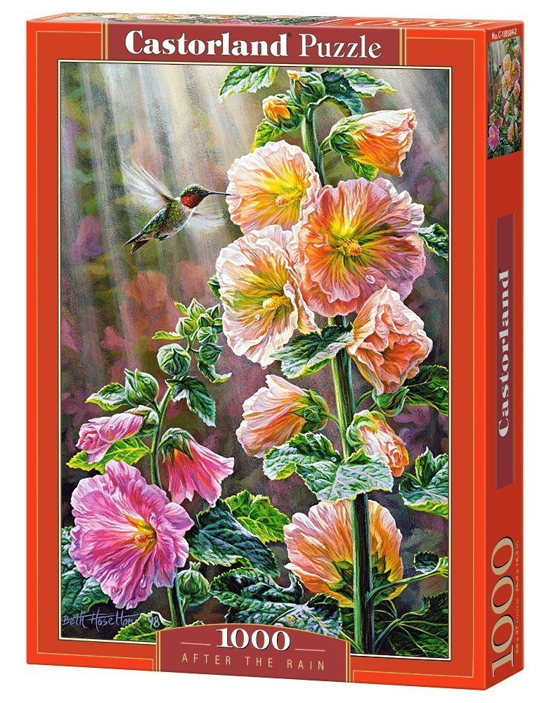Пазл После дождя 1000 элементов C-103584 Castorland Касторленд